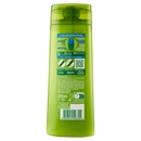 Garnier Fructis Shampoo Forti & Brillanti 2in1, shampoo fortificante per capelli normali, 250 ml